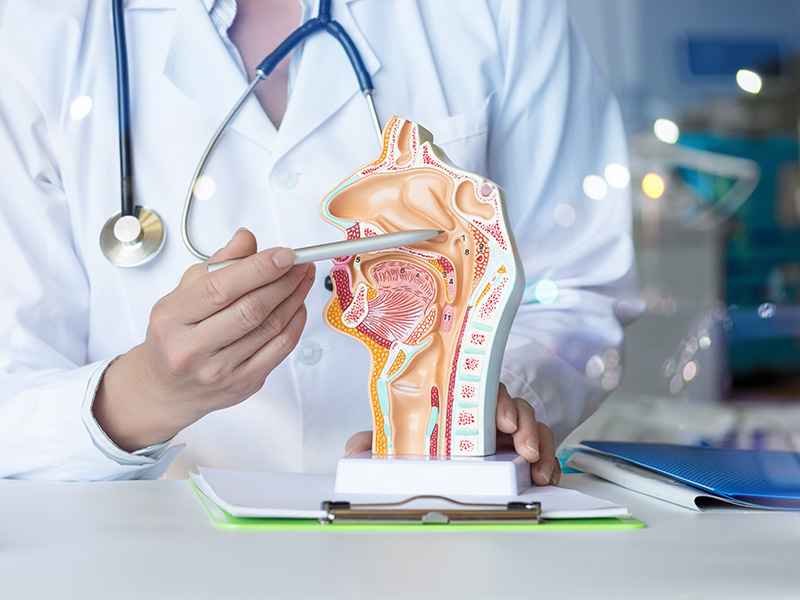Bucks ENT | Consultant ENT Surgery