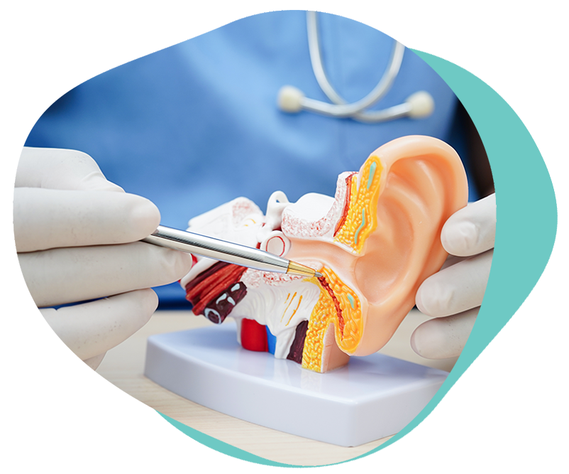 Bucks ENT | Consultant ENT Surgery